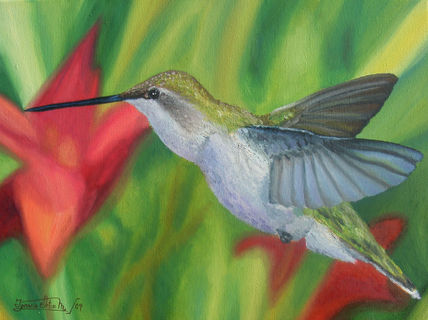 Colibri