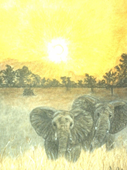 Africa