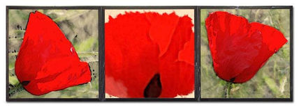 Tres Amapolas