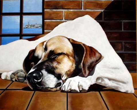 Dormida Óleo Lienzo Animales