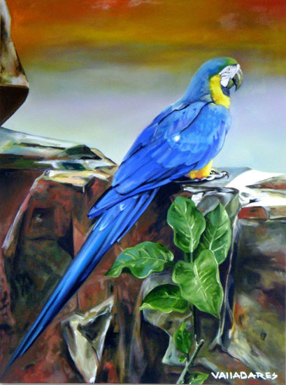 Guacamayo Azúl Oil Canvas Animals