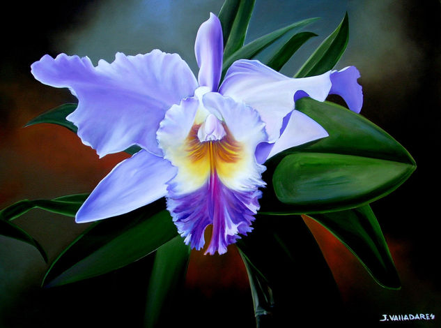 Orquidea Sudamericana Oil Canvas Floral Painting