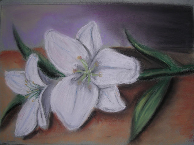 Flor Pastel Card