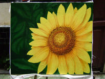 GiraSOL