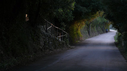 Camí de tardor