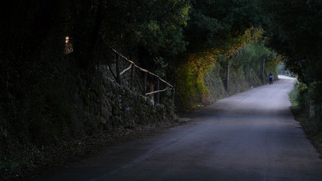 Camí de tardor