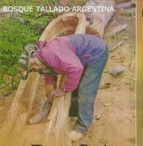 Bosque Tallado...