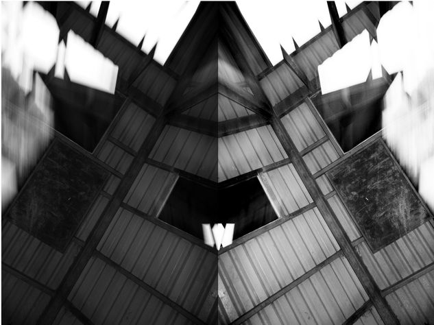 El sueno Conceptual/Abstract Black and White (Digital)