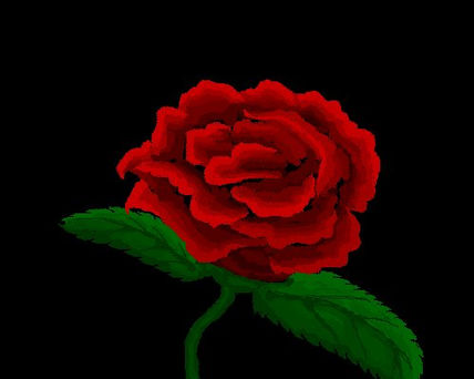 Rosa virtual