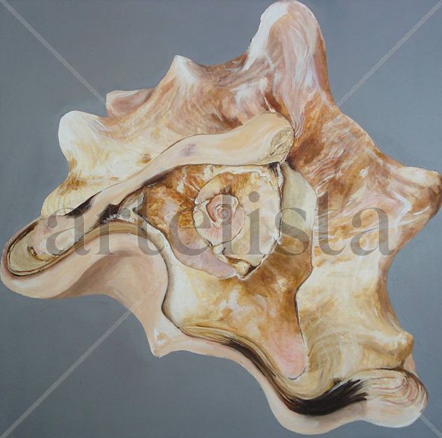 caracol