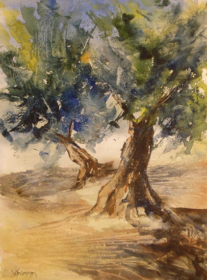 Olivos 7 Watercolour Paper Landscaping