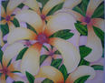 decoración, flores