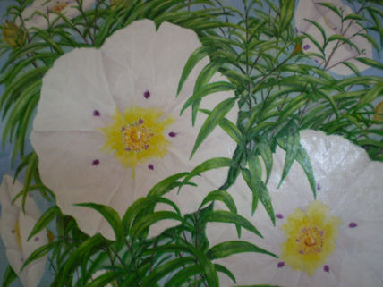 Flores de jara