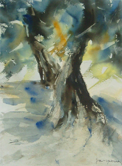 Olivos 8