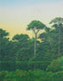 "parque nacional Tortuguero"
