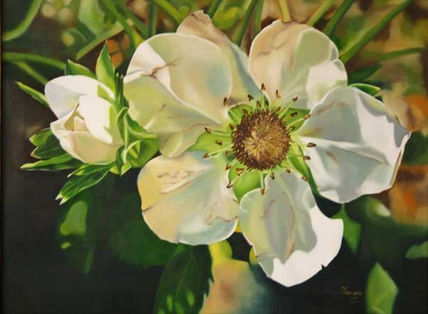 Fresa en Flor...