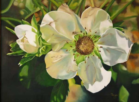 Fresa en Flor...