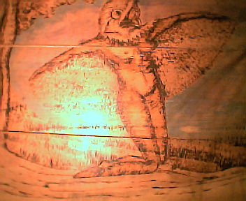 Kakuy