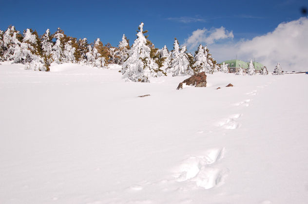 LOS LAGOS DE NIEVE