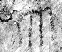 Pinturas ruprestres II