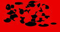 rojo y negro