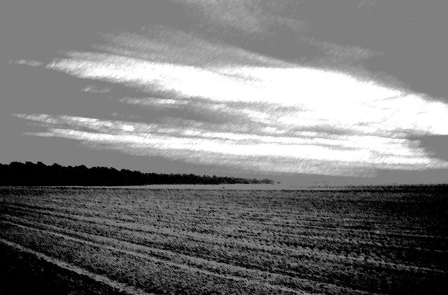 El borde del tiempo Nature Black and White (Digital)