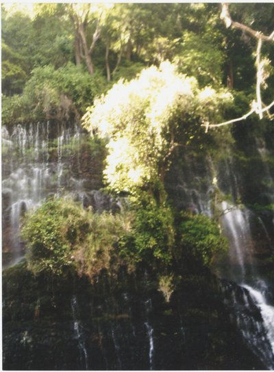 La belleza de la naturaleza.