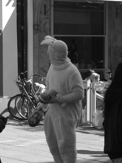 Conejo de pascua