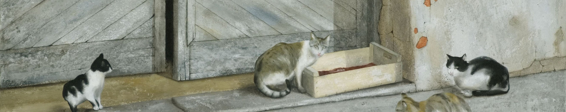 Imagen de portada