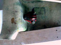 cabeza10