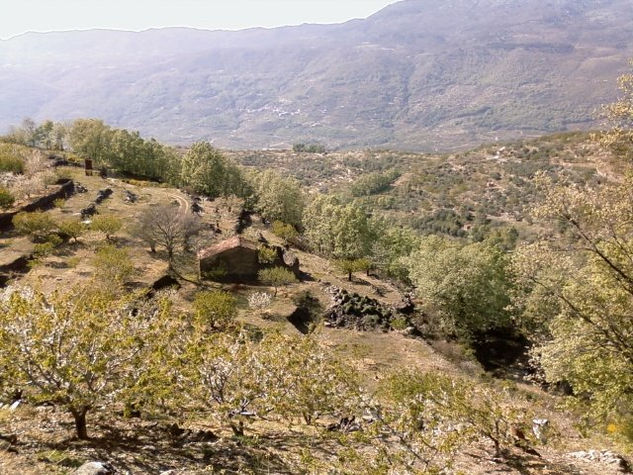 Bancales en Garganta la Olla II 