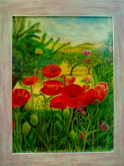 Amapolas