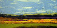Campo 2