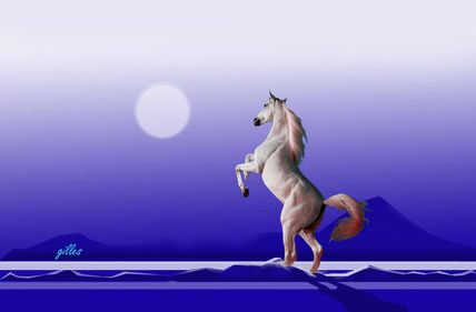 Caballo blanco