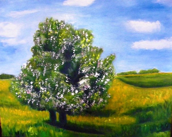 Arbol en flor