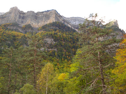 Cumbres