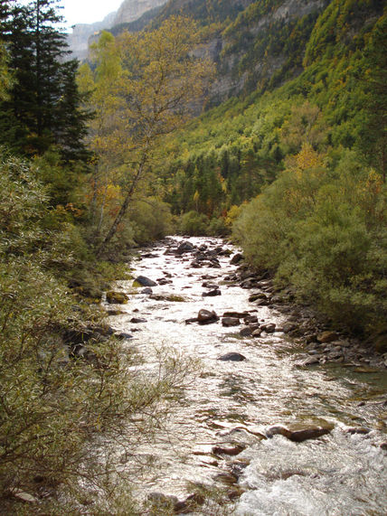 Pequeño fluir