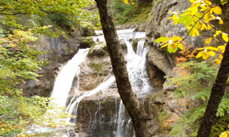 otoño 2007