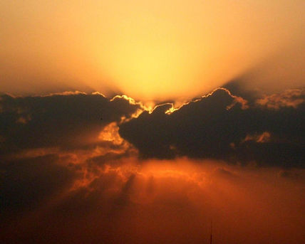 Dreams flying