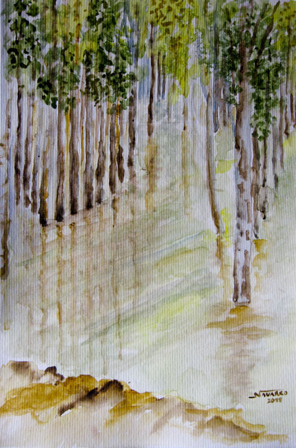 "Potrerillos"