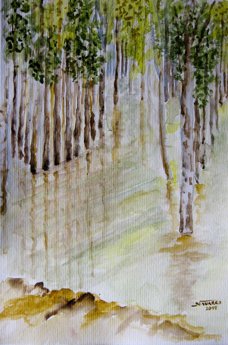 "Potrerillos"