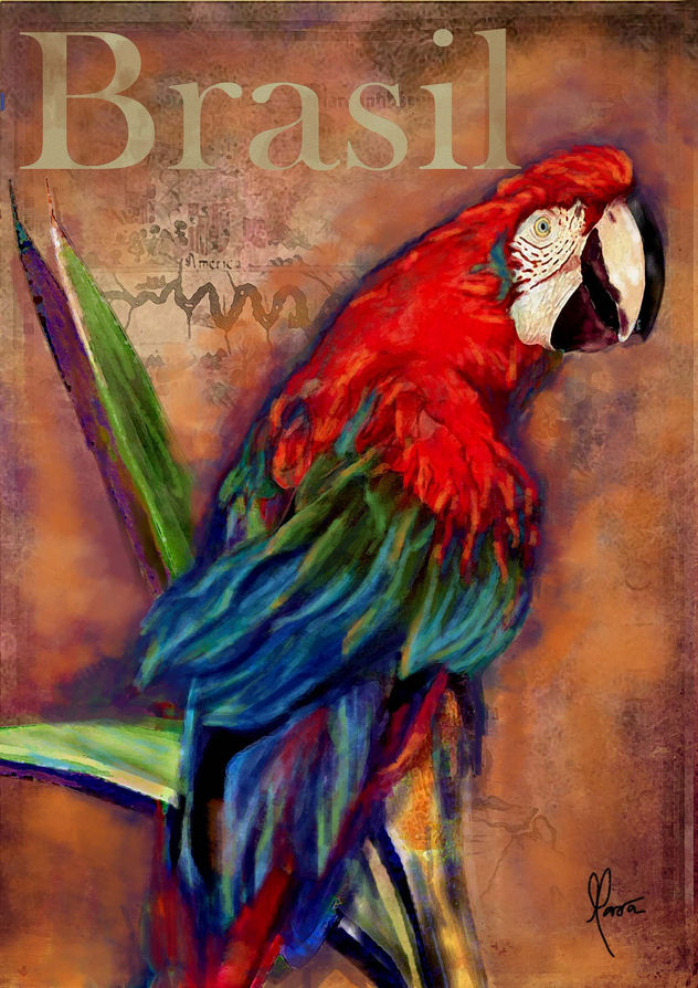 arara brasil