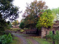 Parque de otoño