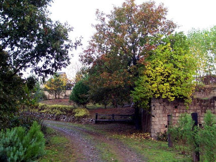 Parque de otoño