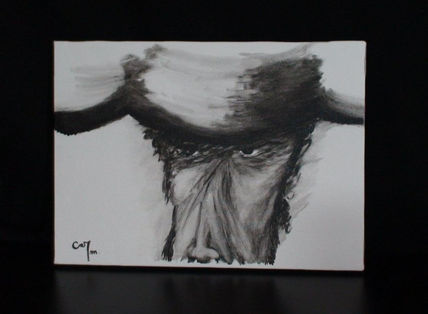 Torero 2