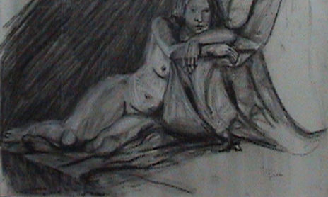 desnudos
