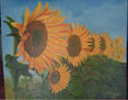 campo de girasoles