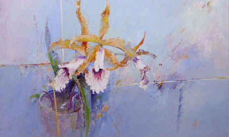 ORQUIDEAS