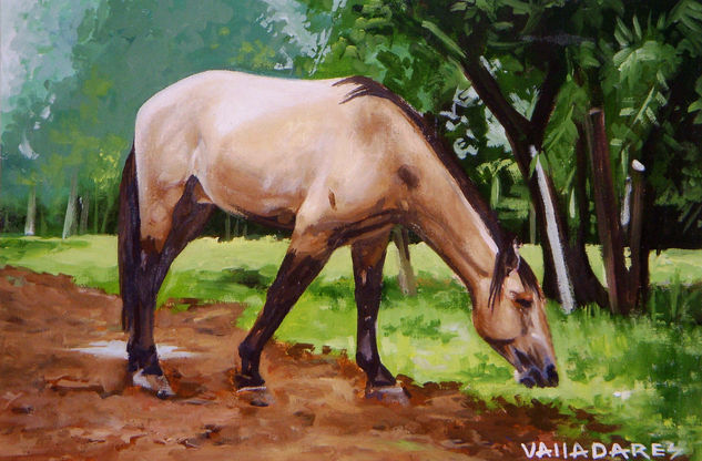 Caballo Lusitano Oil Canvas Animals