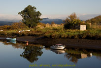 Paisaje fluvial